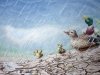 children's book illustration